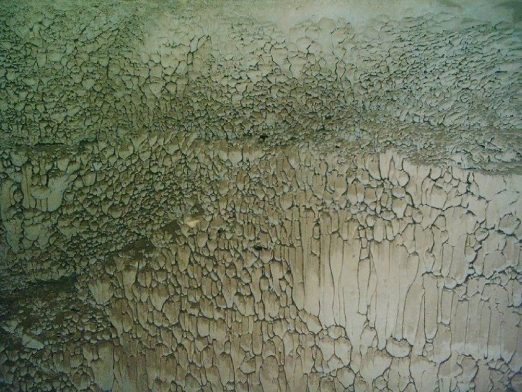 Konya'da heyecan arayanlar soluğu burada alıyor: Hassas hayvan türlerininde yuvası 13